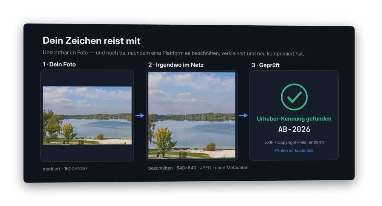 Ein markiertes Foto, von einer Plattform beschnitten, verkleinert und ohne Metadaten neu gespeichert — die Prüfung findet die Urheber-Kennung trotzdem