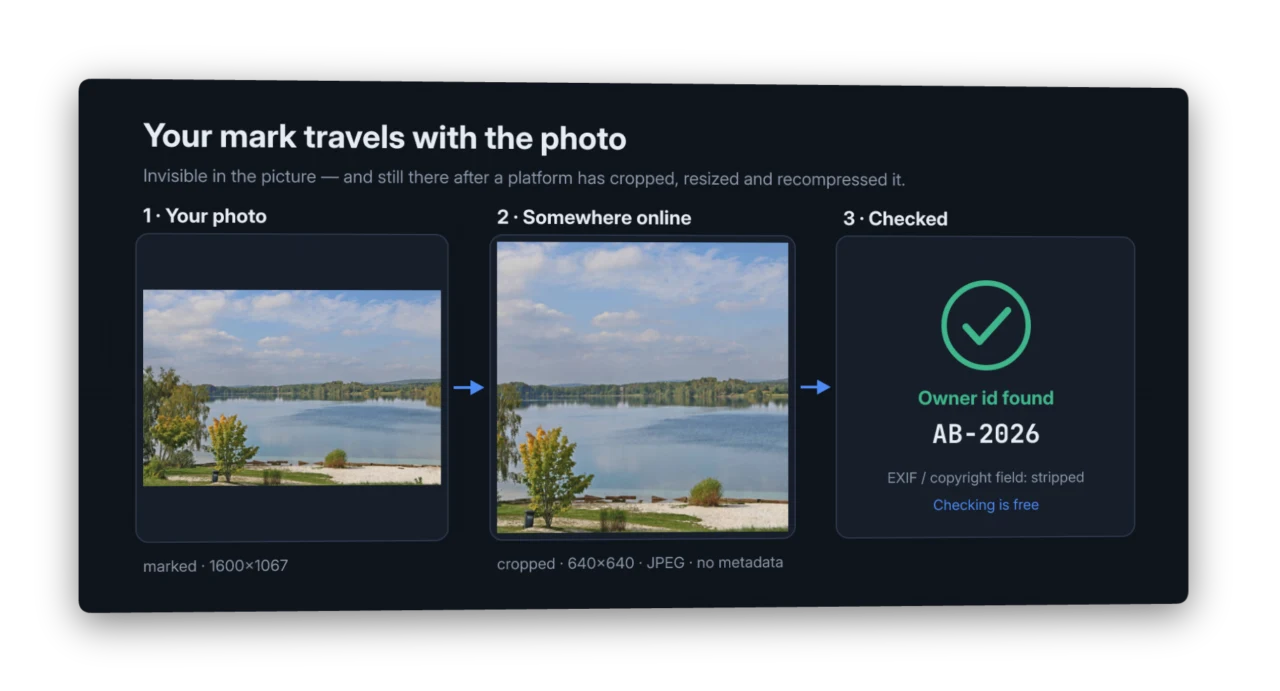 A marked photo, cropped, resized and saved again without metadata by a platform — the check still finds the owner id