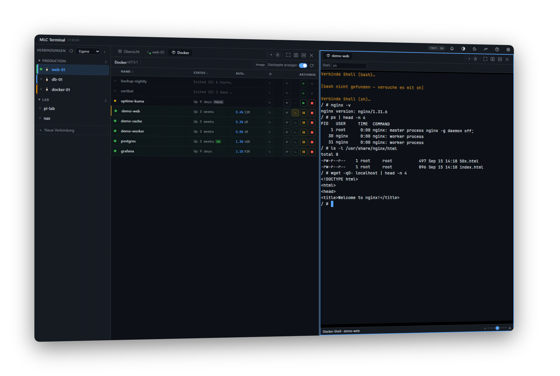 Docker-Manager mit Inline-Shell