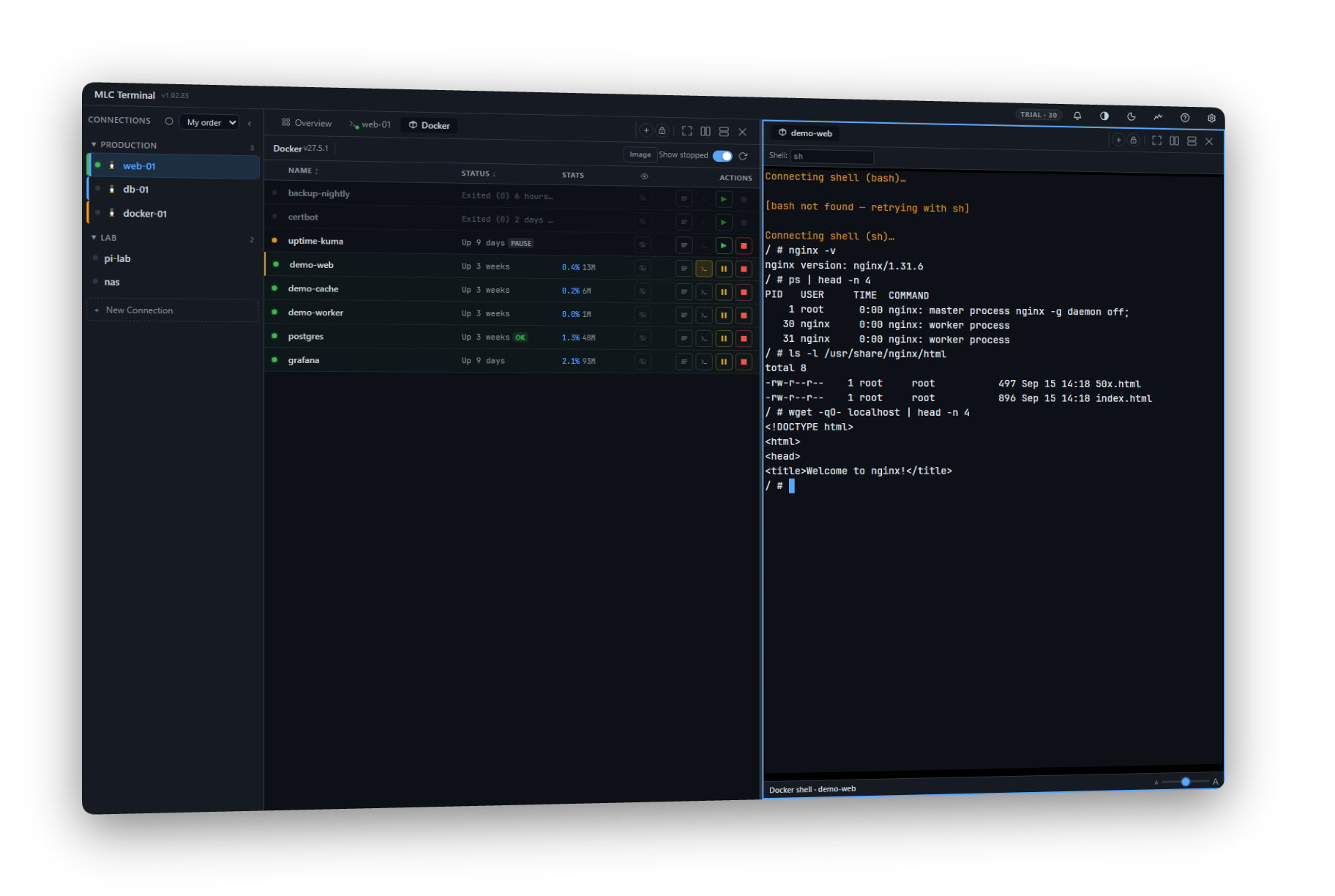 Docker manager with inline shell