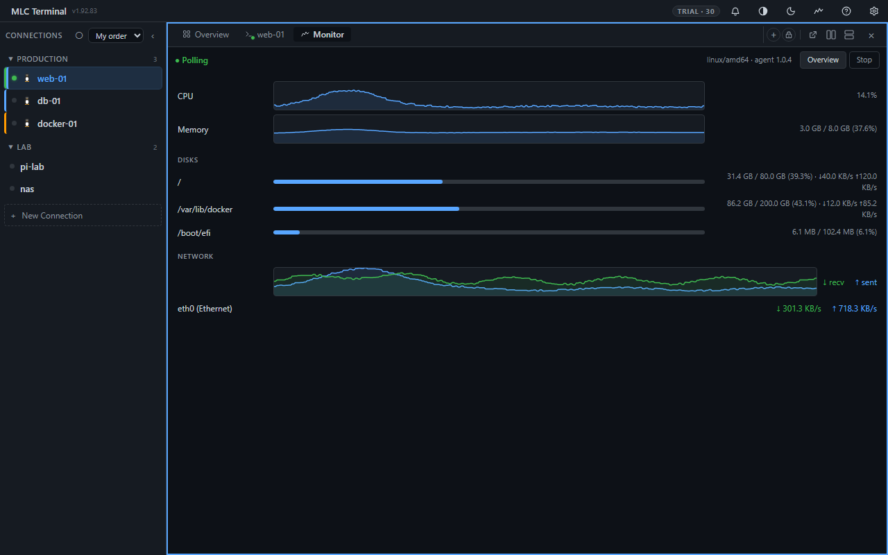 MLC Terminal Screenshot 4