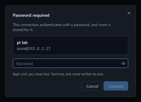 Password prompt — kept for this session only