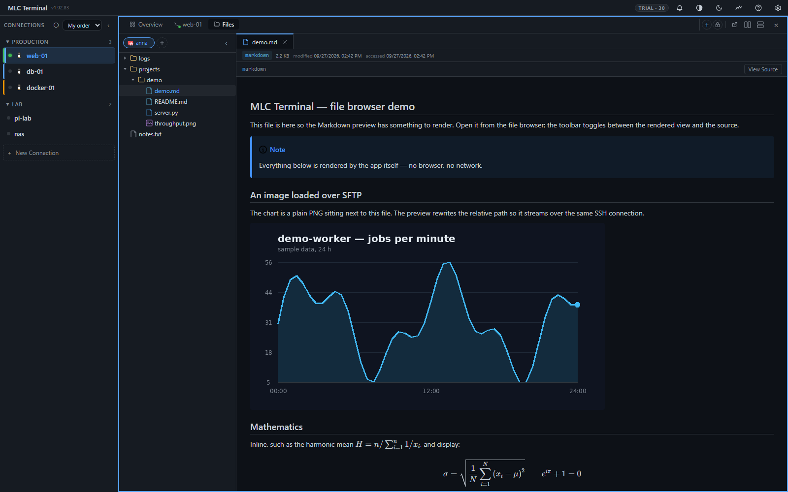 MLC Terminal Screenshot 3